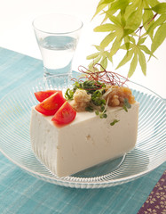 木綿豆腐　冷奴