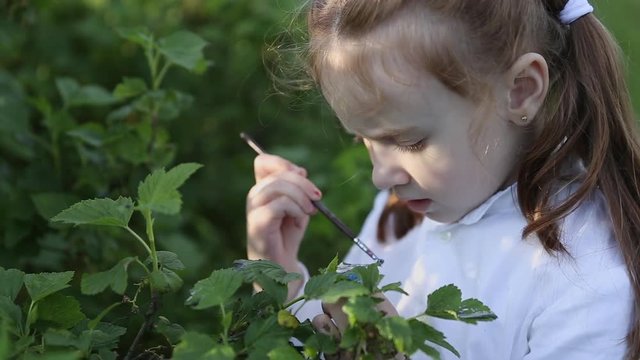 a little girl paints the leaves on the bushes in the field