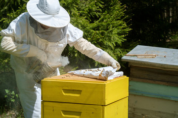 Beekeeper in protective workwear inspecting honeycomb frame at apiary.