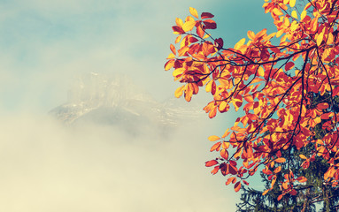 incredible Autumn Scenery. the majestic mountain is shining through the clouds. Autumn wood colored leaves in the foreground. Wonderful natural background. instagram filter. retro style.