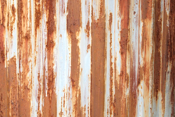 Old zinc wall surface Fence
