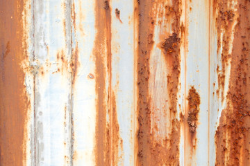 Old zinc wall surface Fence