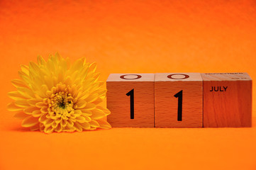 11 July on wooden blocks with a yellow daisy on an orange background