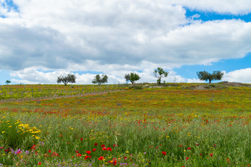 Beautiful Spring Scenery, Mazzarino, Caltanissetta, Sicily, Italy, Europe