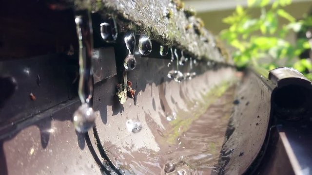Water dripping from the gutter in slow motion. Drops of crystal clear rainwater falling to open pipe. Reflection and flares. Natural environment, ecology and water saving concept.