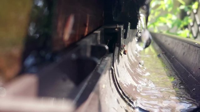 Water dripping from the gutter in slow motion. Drops of crystal clear rainwater falling to open pipe. Reflection and flares. Natural environment, ecology and water saving concept.