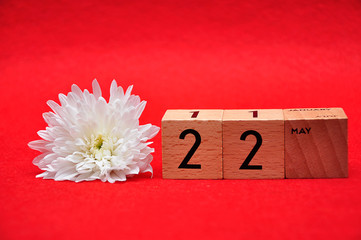 22 May on wooden blocks with a white daisy on a red background