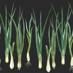 Green onion composition