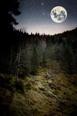 landscape with moon and tree