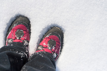 Red hiking boots in a snowdrift. Mountaineering