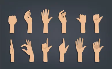 Fotobehang Set of hands showing different gestures. © inspiring.team