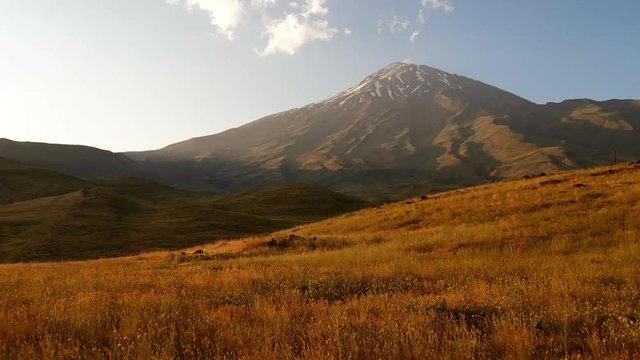 A panning shot of Damavand's snowy peak during summer and extended field  A following long shot of foothill of Damavand's peak summer sunlight and plants shaking by wind yellow and blue colored