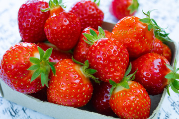 fraises