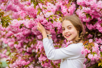 Fototapeta premium Bright and vibrant. Pink is my favorite. Little girl enjoy spring. Kid on pink flowers of sakura tree background. Kid enjoying pink cherry blossom. Tender bloom. Pink is the most girlish color