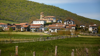 Fototapeta na wymiar image of the village of Lizaso. In the valley of Utlzama, Navarre. Spain.
