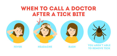 Tips for tick safety infographic. Brown parasite, risk of encephalitis