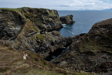 Fototapeta na wymiar the most beautiful island in Ireland : INISHBOFIN