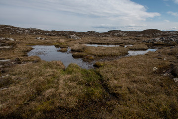 the most beautiful island in Ireland : INISHBOFIN