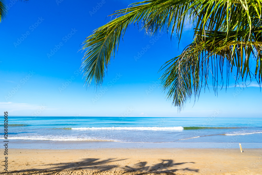 Wall mural beauty beach in phuket of thailand