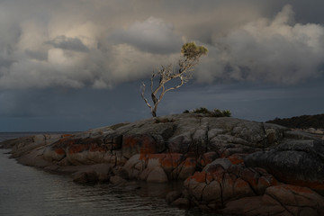 Binalong Bay, Bay of Fires, Tasmania