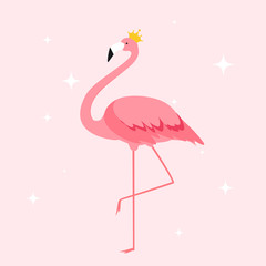 Silhouette of beautiful colored vector illustrations of flamingos in crown