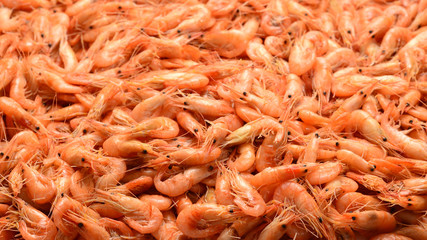 Tasty fresh shrimps as background.