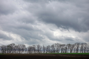 雨雲