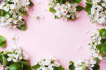 Obraz na płótnie Canvas Spring flowering branch on pink background. Apple blossoms Copy space