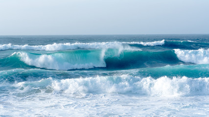Wave in the ocean, summer day