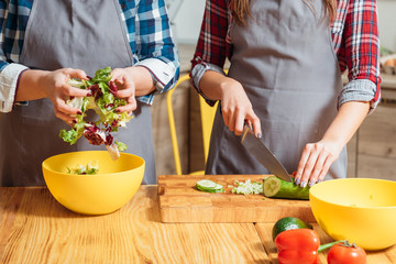 Midsection of women cooking. Making salad cutting veggies mixing chopped lettuce. Healthy nutrition vegetarian cuisine.