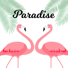 Summer Creative Poster with Pink Flamingo. Card of Invitation. Vector Illustration