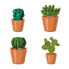 Isolated object of cactus and pot symbol. Collection of cactus and cacti stock symbol for web.