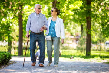 Fototapeta premium Cheerful senior couple having good time in city park, walking, laughing and enjoying sunny day. Old people wearing color clothes ans sunglasses
