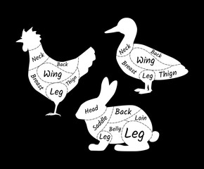 Butcher shop rabbit, duck, chicken. Agricultural meat farmers market.