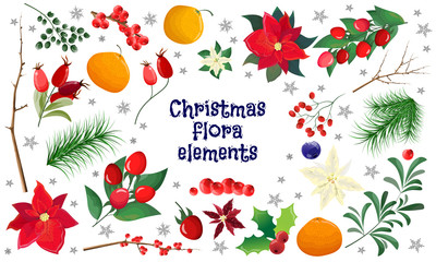 christmas background with holly and red berries