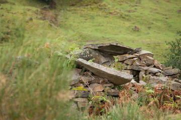 Obraz premium Restos de casa