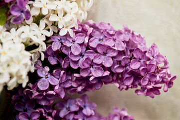 Branches of white and purple lilac. Natural wealth.