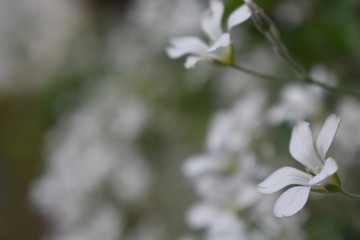 Frühling 15