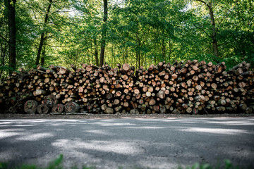 Rows of timber lay on the site of the road in Duisburg, Germany