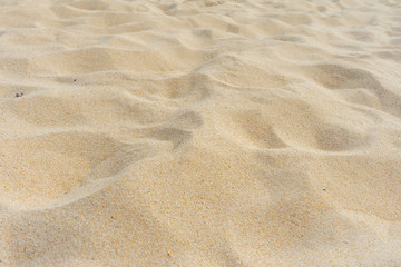 Full Frame Shot Close up Of Sand Texture On The Beach Sea In The Summer Sun.