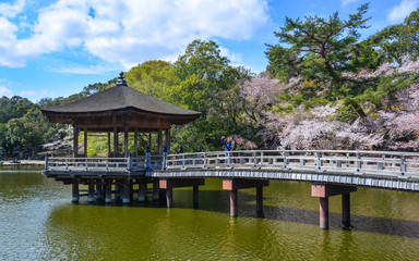 Ukimido Gazebo during cherry blossom