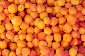Fresh apricots on the marke closeup backround.