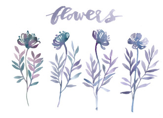 Botanical flowers set. Hand drawn watercolor. Botanical illustration of vintage. Grass, leaves, twigs. Design elements for print, vintage posters, wallpapers, textiles.
