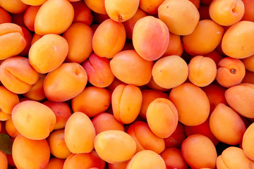 Fresh apricots on the marke closeup backround.