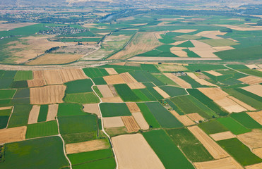 Agricultural landscape. Zaragoza Province, Aragon, Spain, Europe