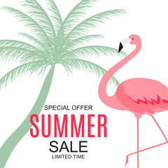 Summer Sale concept with Colorful Cartoon Pink Flamingo Background. Vector Illustration