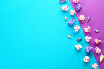 Beautiful hyacinth flowers on color background