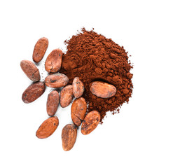 Cocoa beans and powder on white background