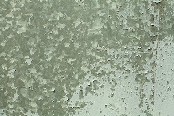 Old green textures wall background. Perfect background with space.