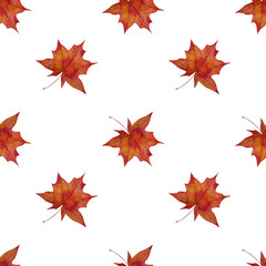  Watercolor seamless pattern with autumn maple leaves on white background.